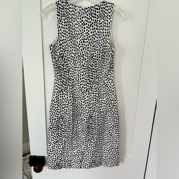 J.Crew Polka Dot Dark Navy Blue White Cotton Classic Knee length dress Size 0 - Picture 7 of 7
